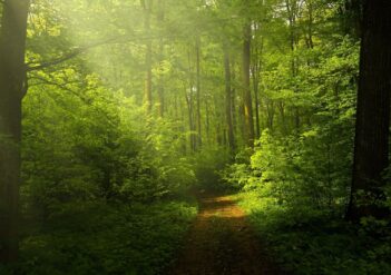 contato-com-a-natureza