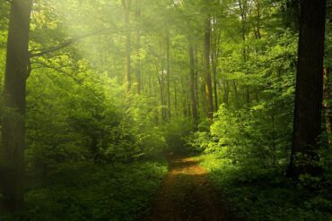 contato-com-a-natureza
