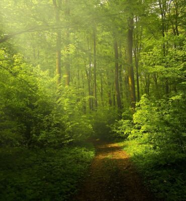 contato-com-a-natureza