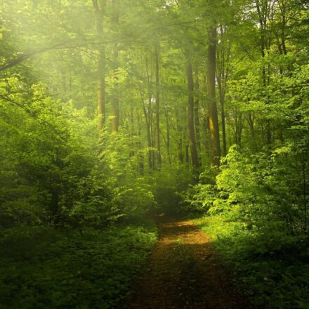 contato-com-a-natureza