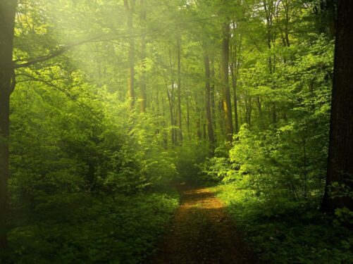 contato-com-a-natureza