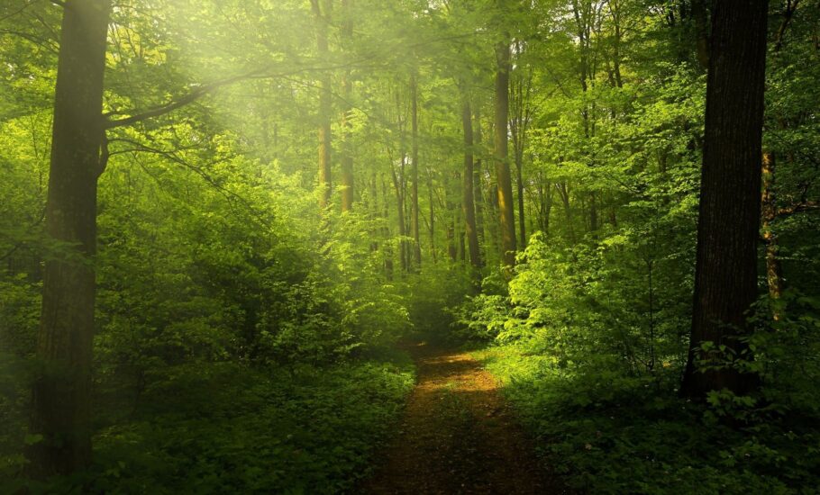 contato-com-a-natureza