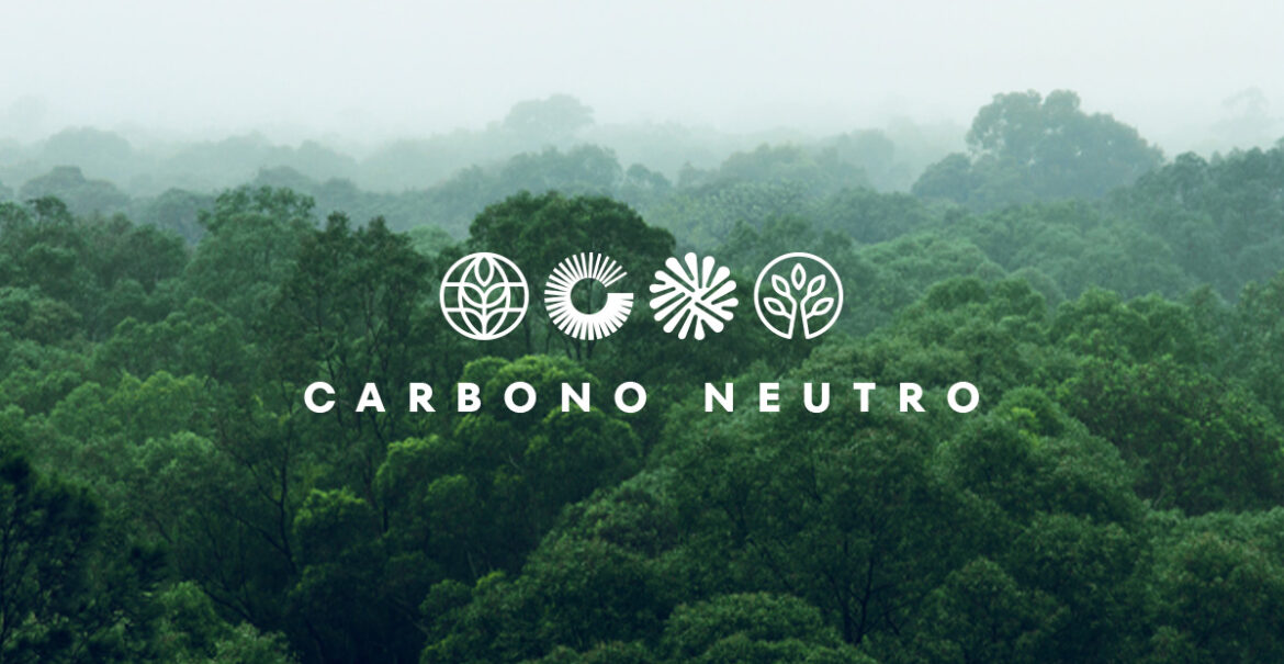o fundo da imagem mostra uma floresta com muitas árvores. Em destaque, o texto "carbono neutro"