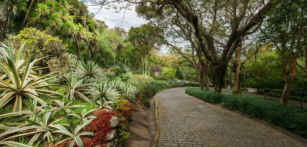 Foto do Sítio Burle Marx, com um caminho paralelepípedo, plantas e árvores ao redor.